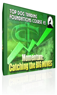 Top Dog Trading DVD Course 1&2