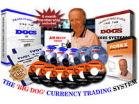 How to Trade the Forex Like The Big Dogs