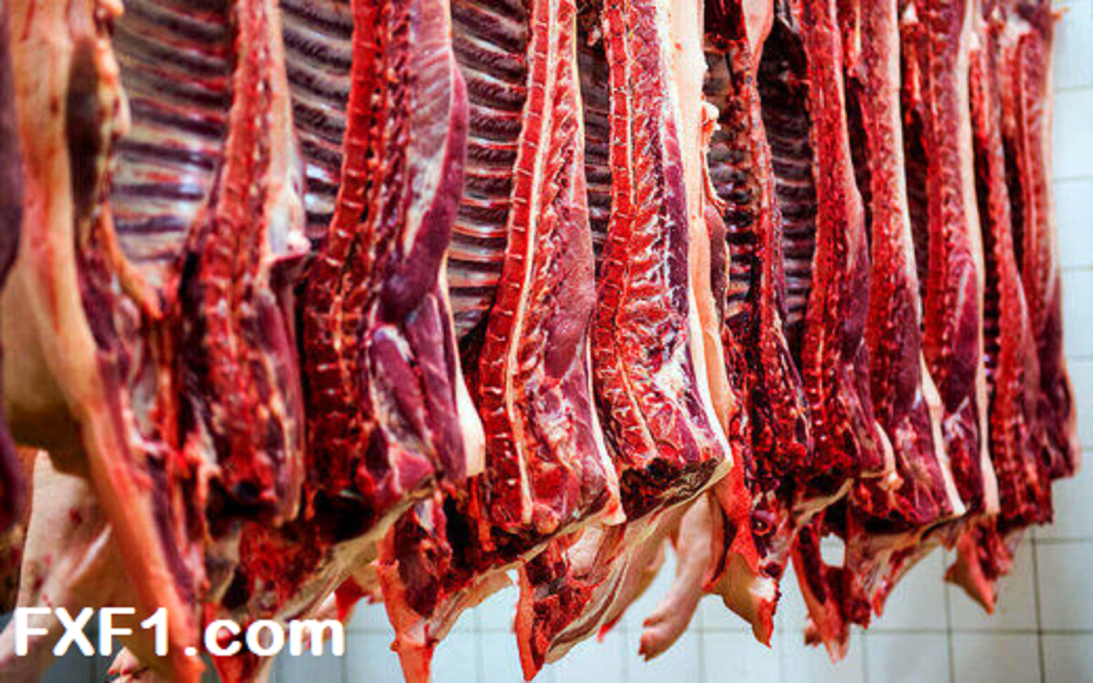گوشت قرمز – کاهش قیمت سی هزار تومانی