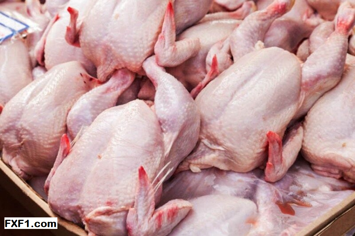 قیمت مرغ در ایران دوباره بالا رفت!