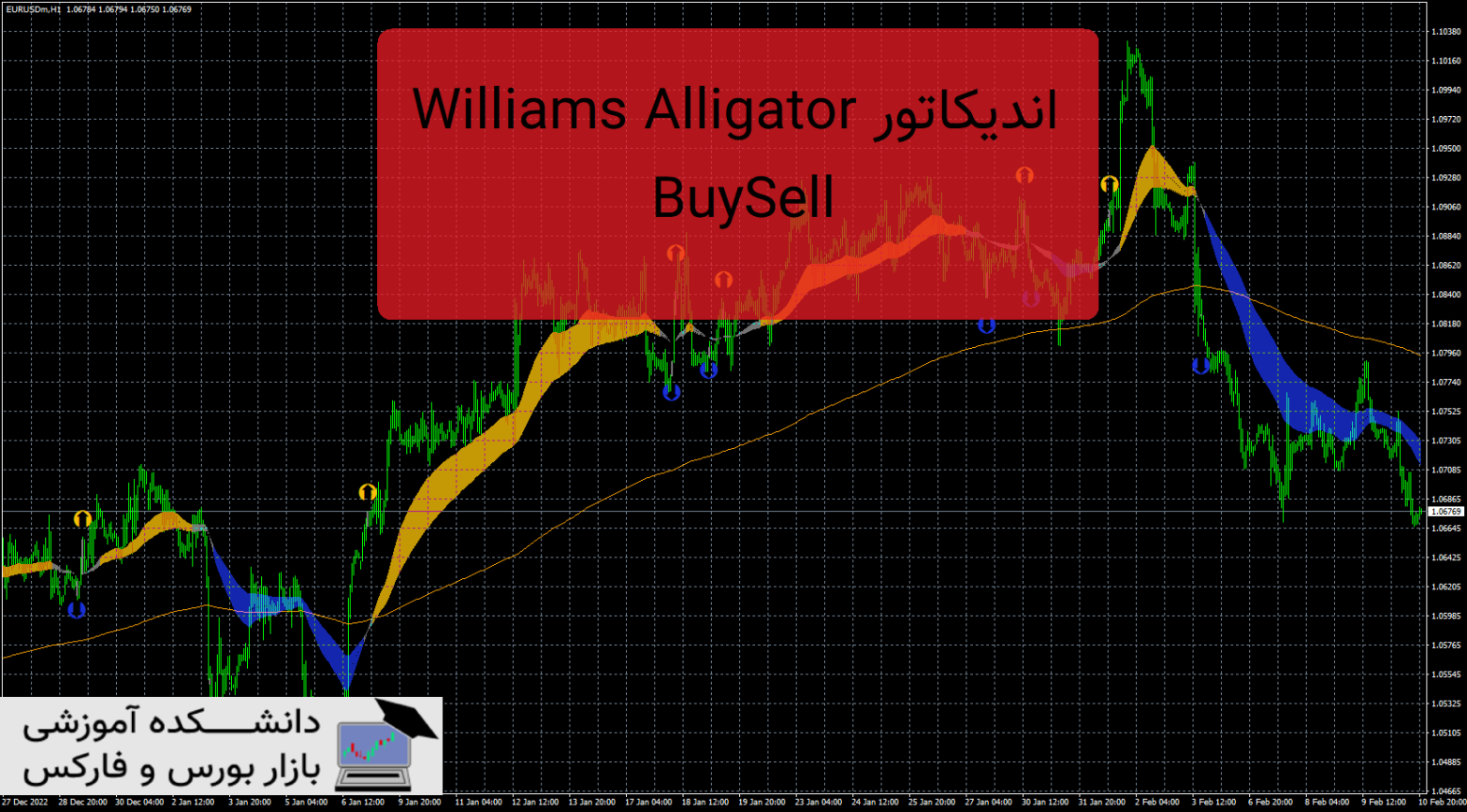 Williams Alligator BuySell دانلود و معرفی اندیکاتور
