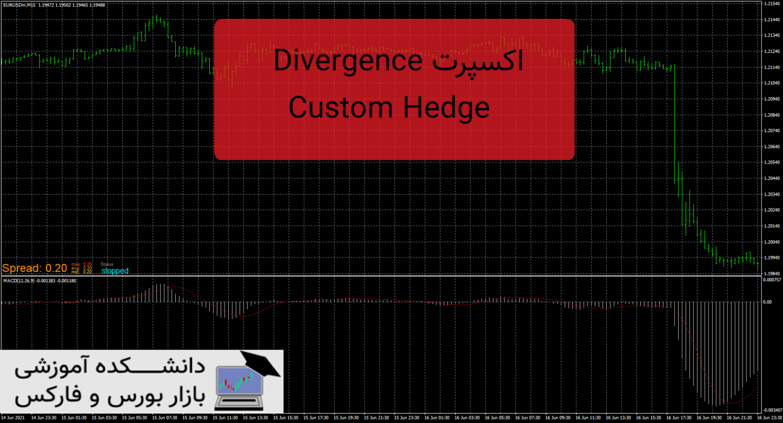 Divergence Custom Hedge دانلود و معرفی اکسپرت