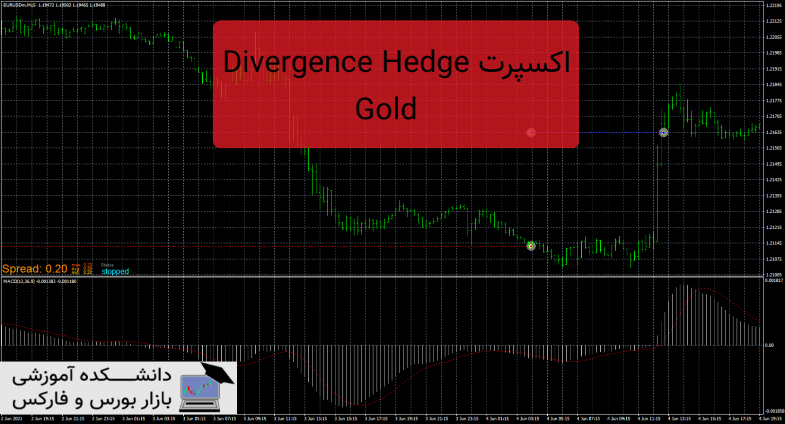 Divergence Hedge Gold دانلود و معرفی اکسپرت