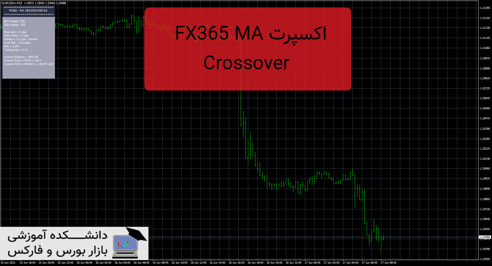 FX365 MA Crossover دانلود و معرفی اکسپرت