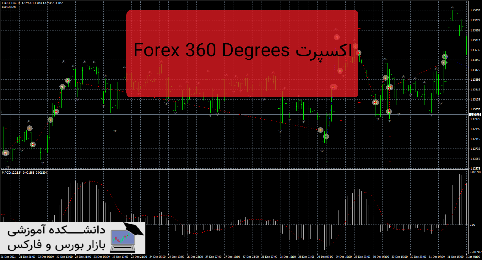 Forex 360 Degrees دانلود و معرفی اکسپرت