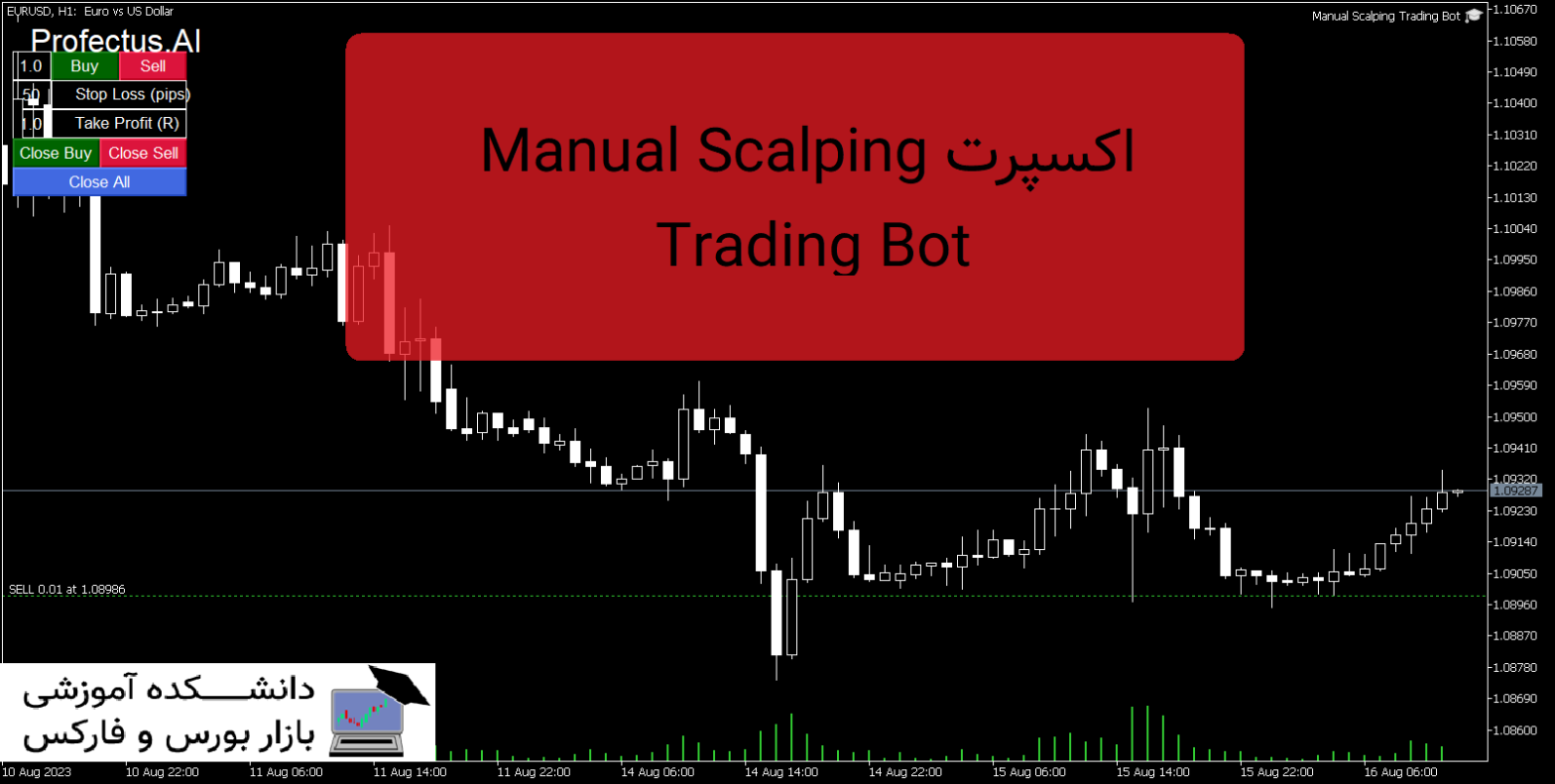 Manual Scalping Trading Bot دانلود اکسپرت