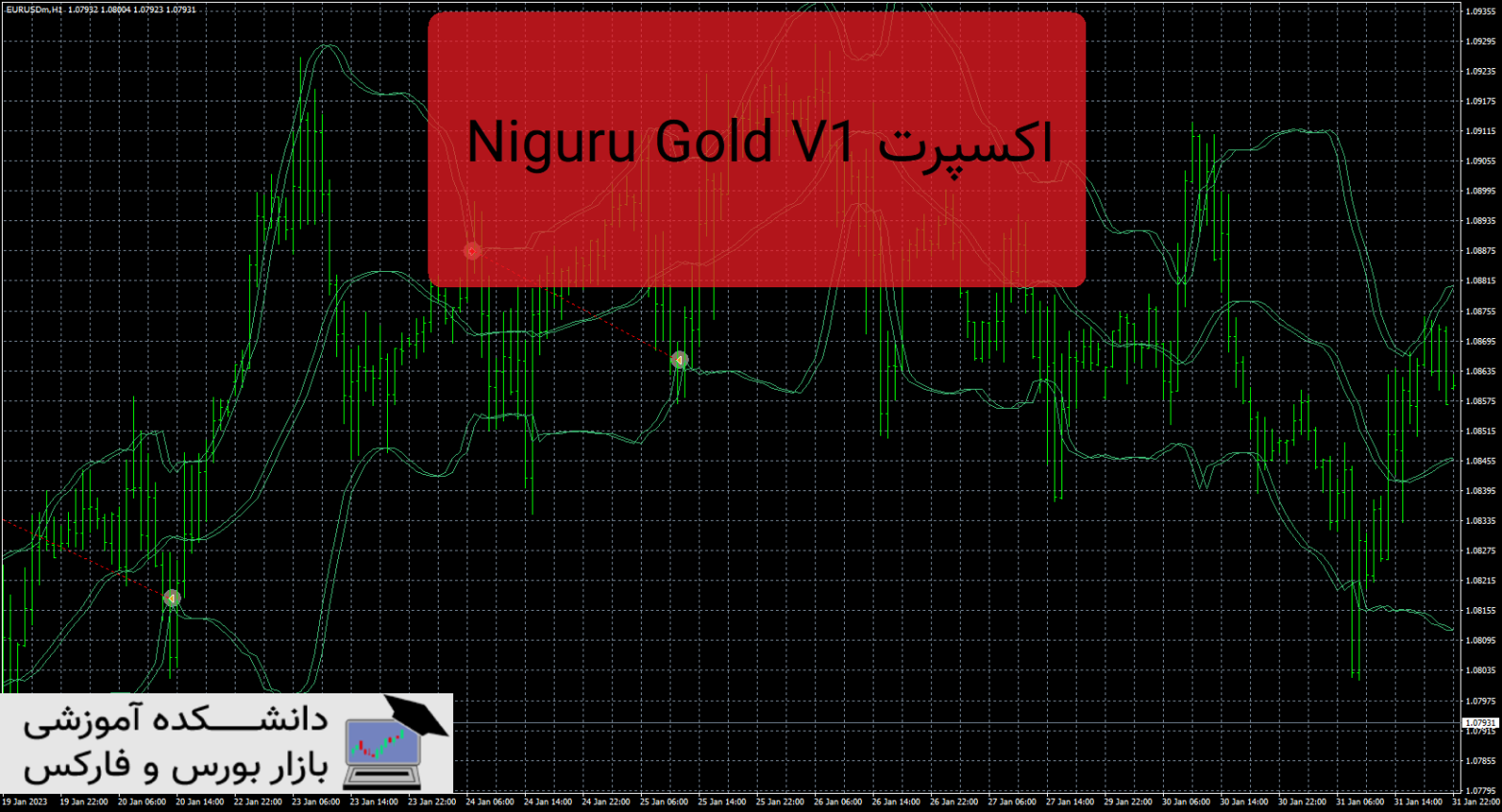 Niguru Gold V1 دانلود و معرفی اکسپرت