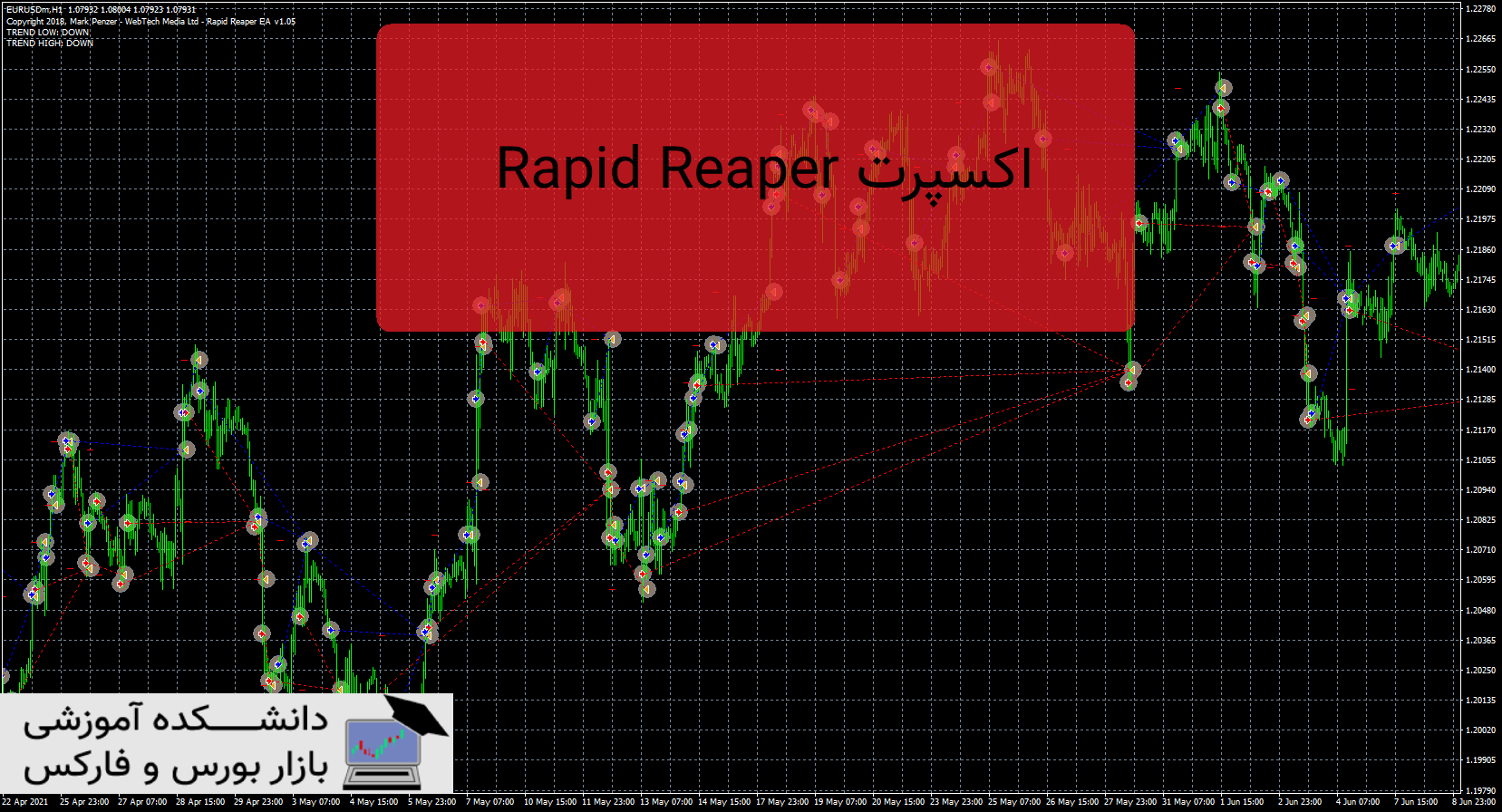 تصویر اکسپرت Rapid Reaper