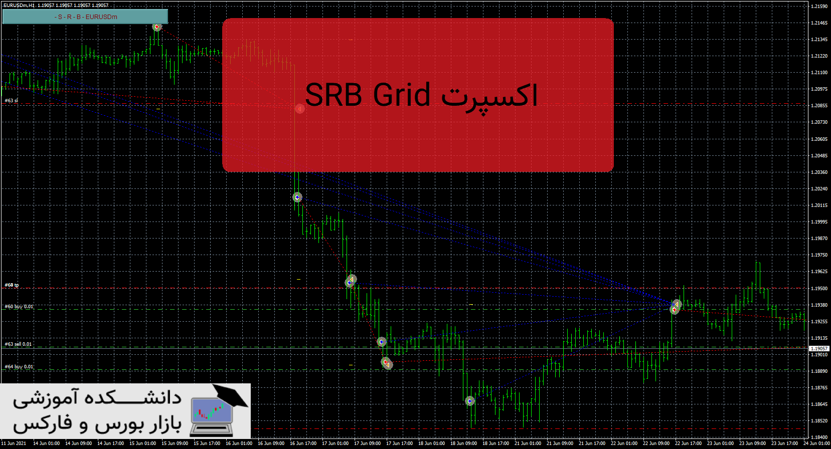 تصویر اکسپرت SRB Grid