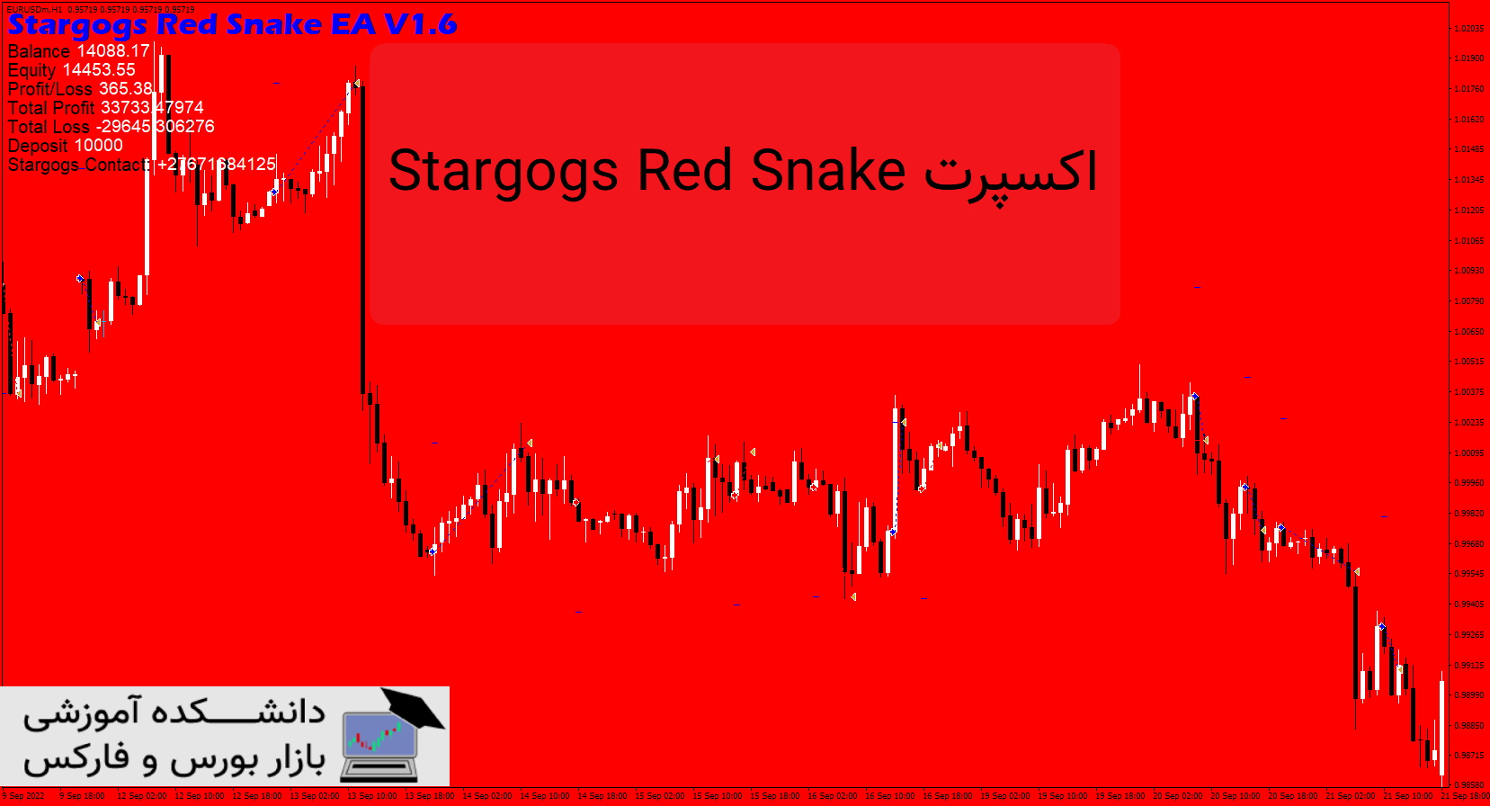 تصویر اکسپرت Stargogs Red Snake EA