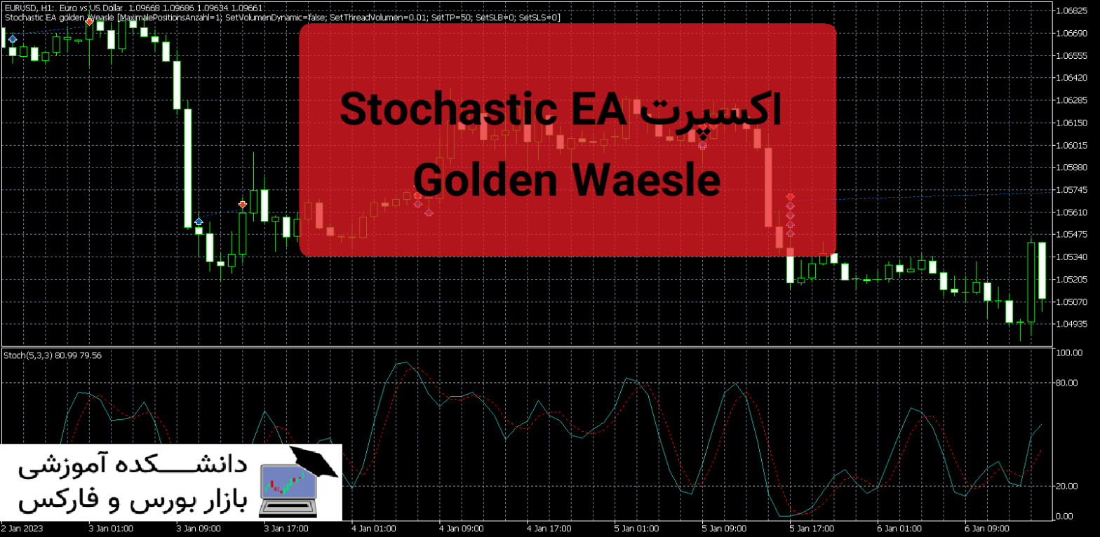 Stochastic EA Golden Weasle دانلود اکسپرت