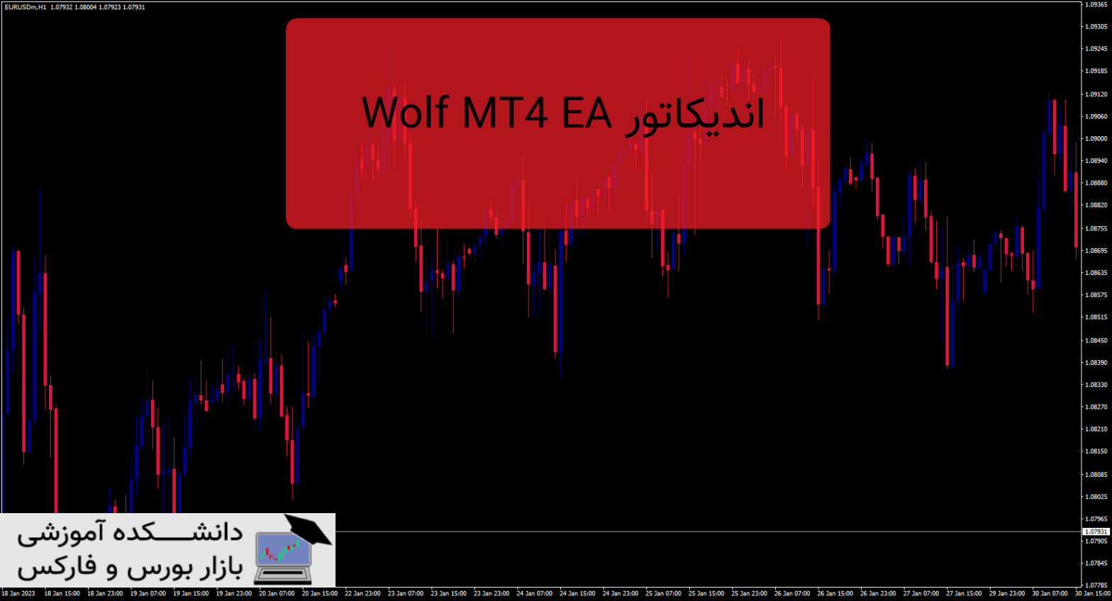 Wolf MT4 EA دانلود و معرفی اکسپرت