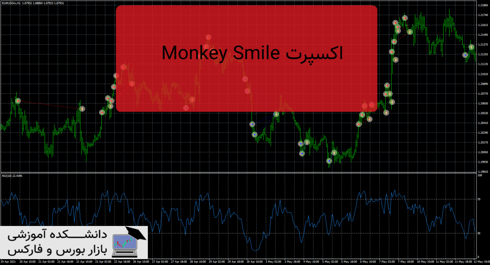 Monkey Smile دانلود و معرفی اکسپرت