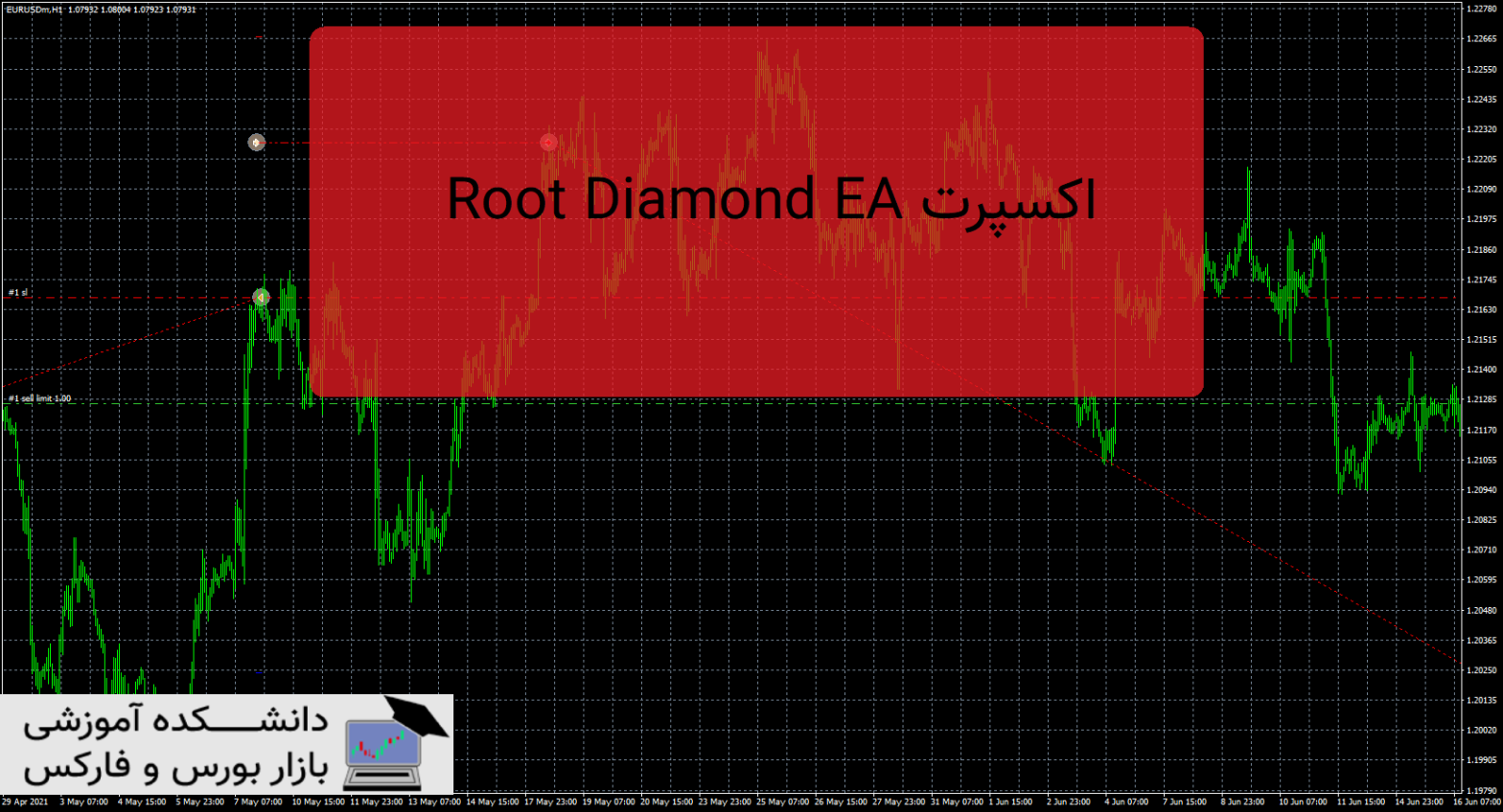 Root Diamond EA دانلود و معرفی اکسپرت