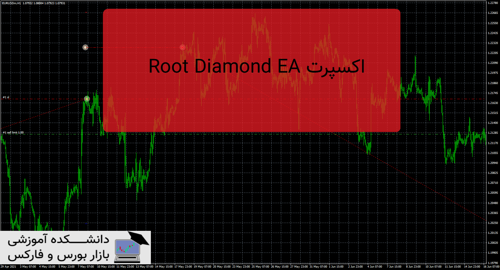 تصویر اکسپرت Root Diamond EA