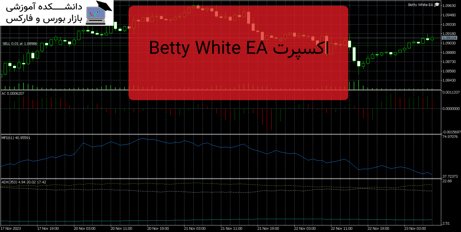 Betty White EA دانلود و معرفی اکسپرت MT5