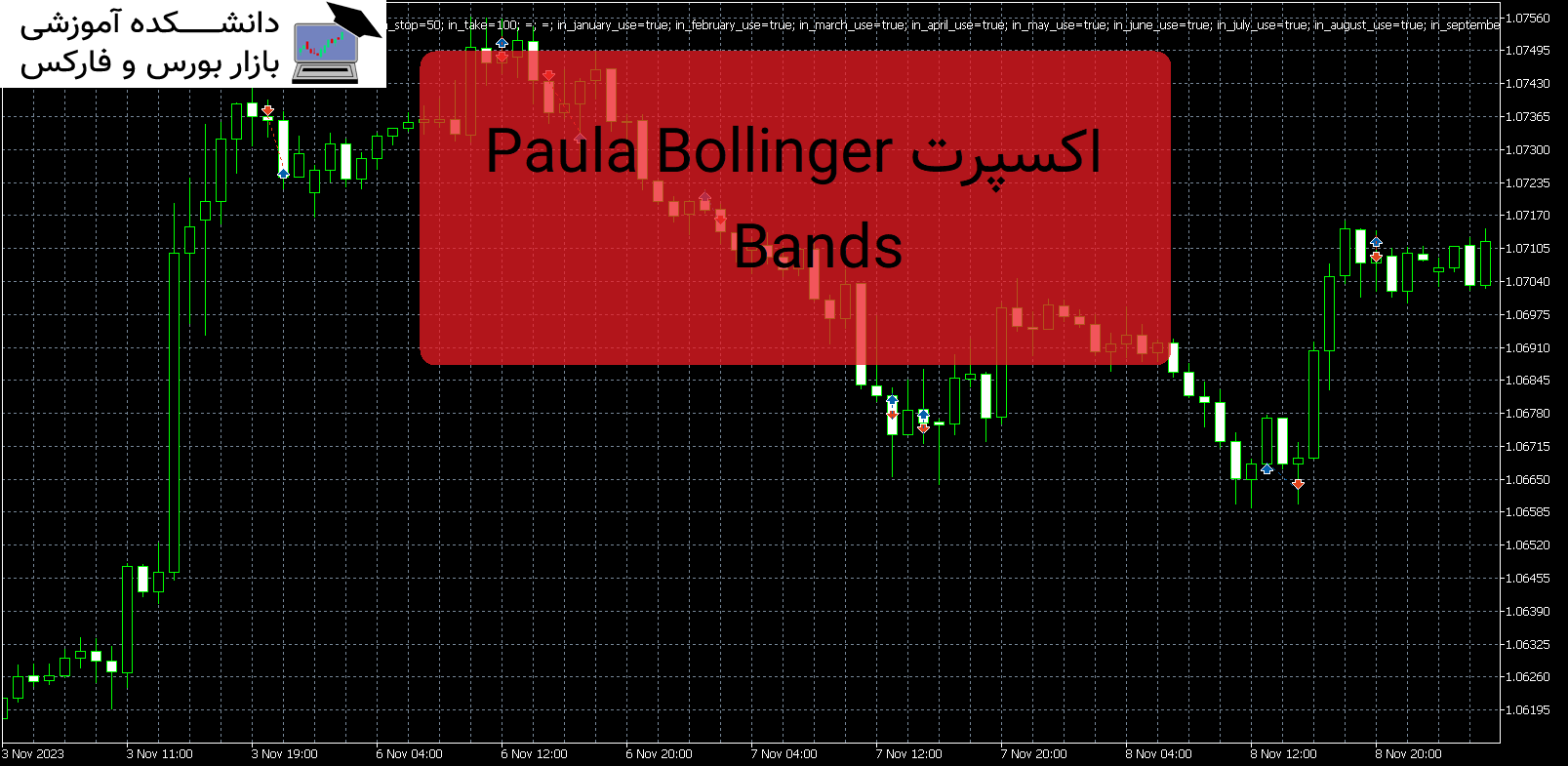 Paula Bollinger Bands دانلود و معرفی اکسپرت MT5