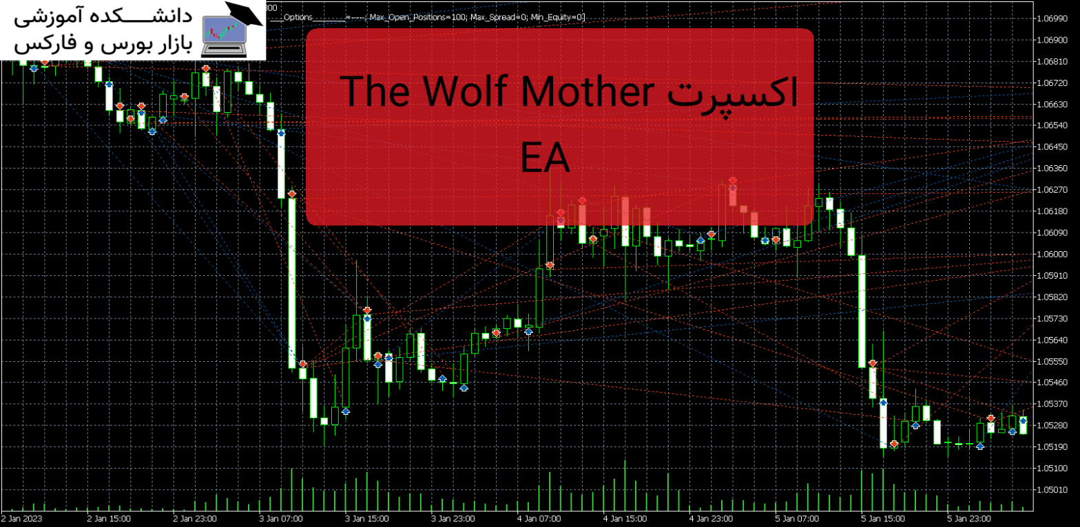 The Wolf Mother EA دانلود اکسپرت MT5