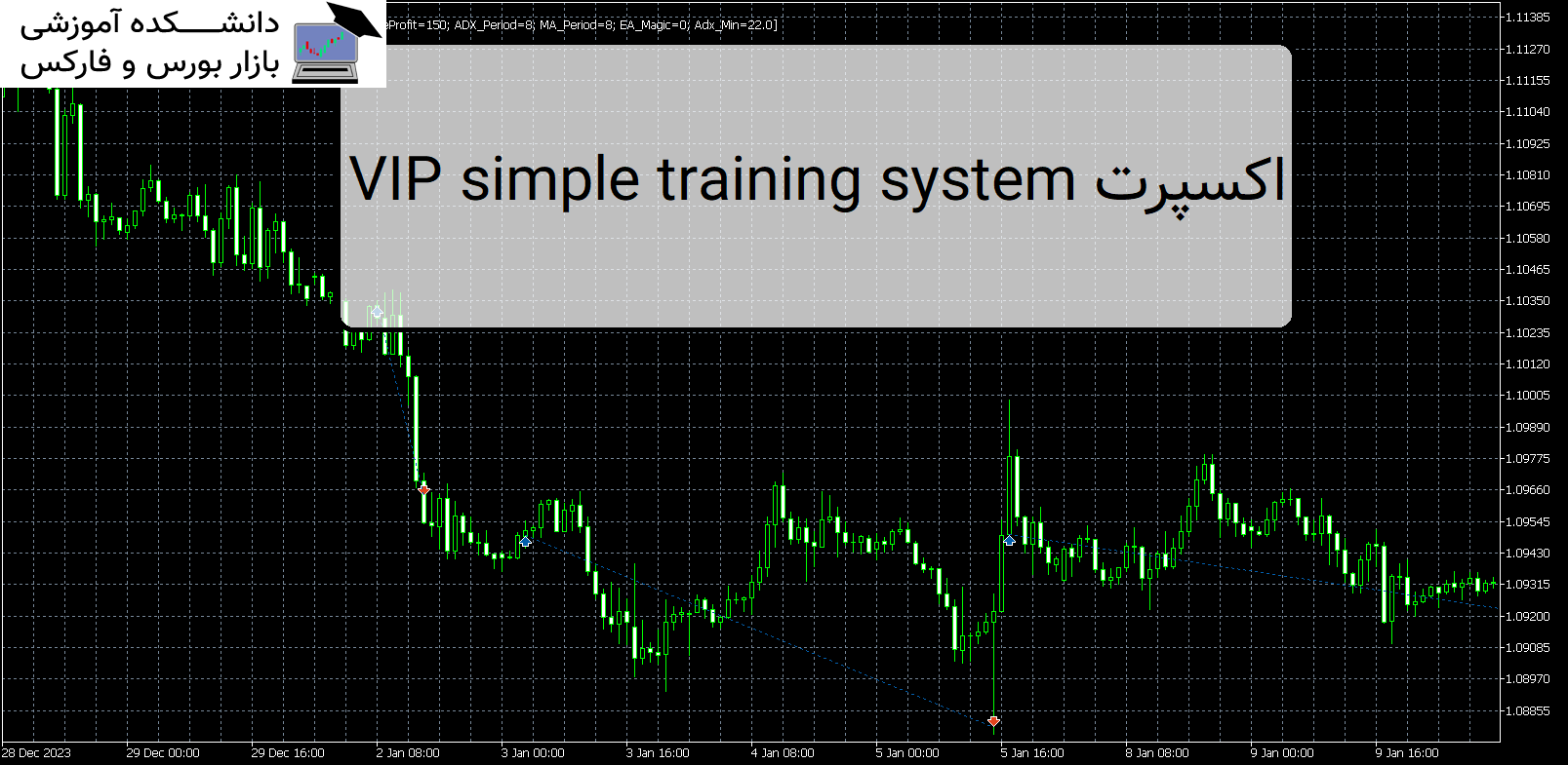 VIP simple training system اکسپرت MT5 - دانشکده آموزشی بازار بورس و فارکس
