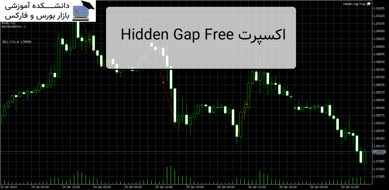 Hidden Gap Free اکسپرت MT5