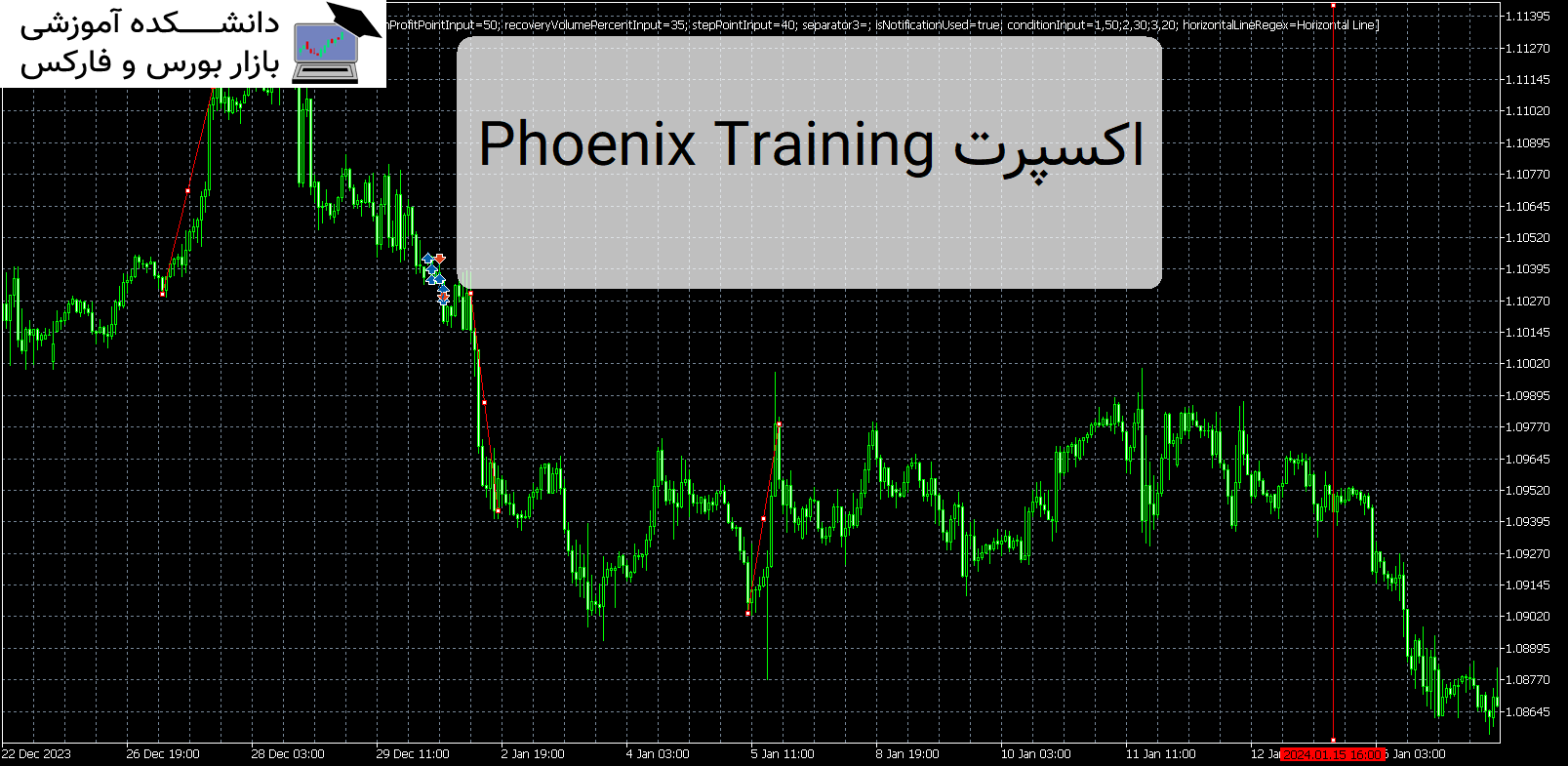Phoenix Training اکسپرت MT5