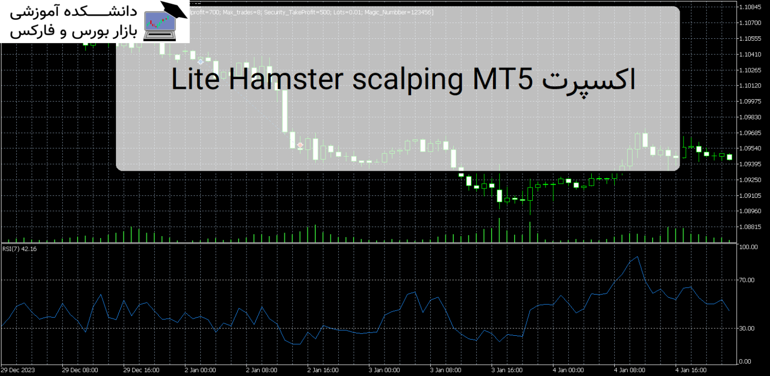 Lite Hamster scalping MT5 اکسپرت