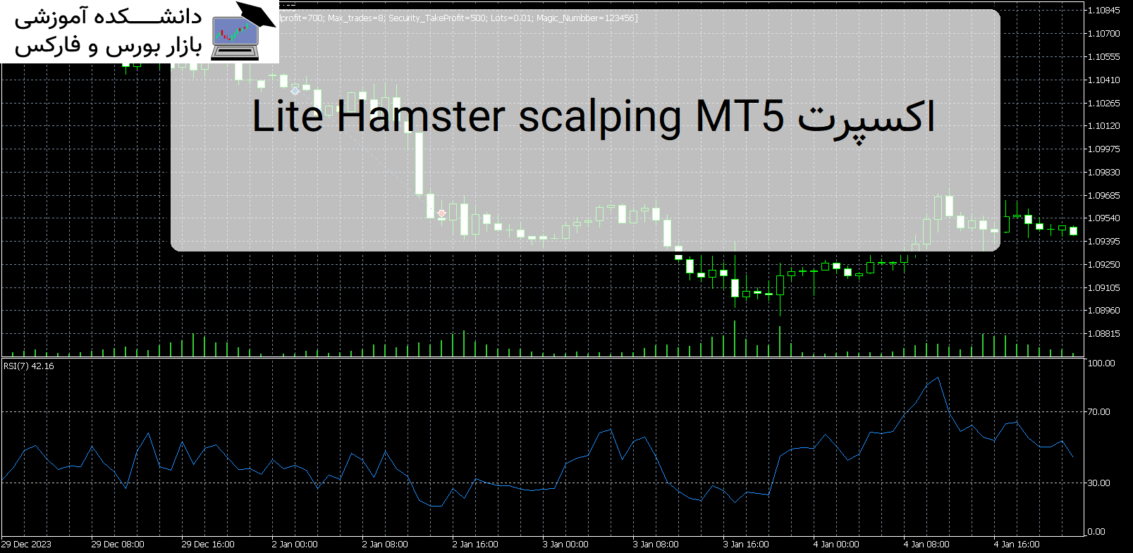 اکسپرت Lite Hamster scalping MT5