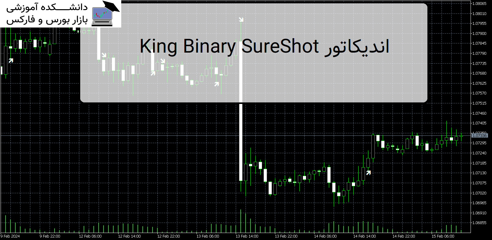 King Binary SureShot اندیکاتور MT5