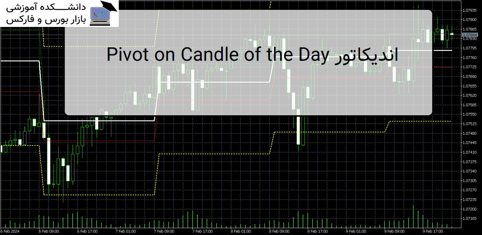 Pivot on Candle of the Day اندیکاتور MT5