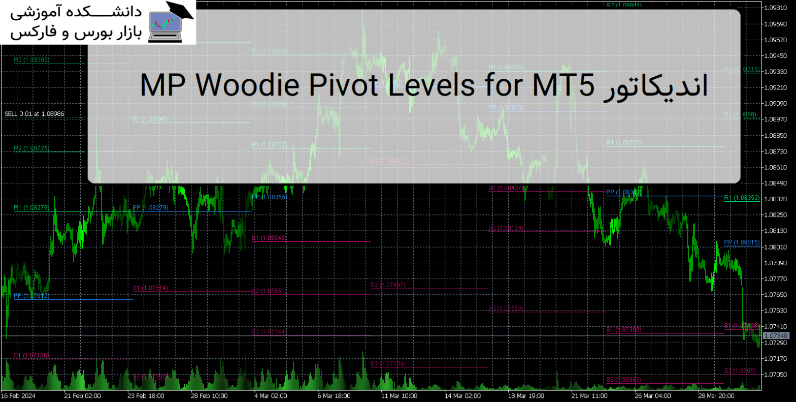 MP Woodie Pivot Levels for MT5 اندیکاتور