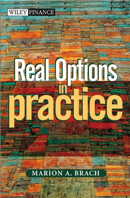 Real Options In Practice