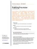 forex report – predicting price movement
